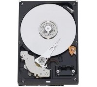 WD Blue 1TB 3.5" SATA III (WD10EARZ)