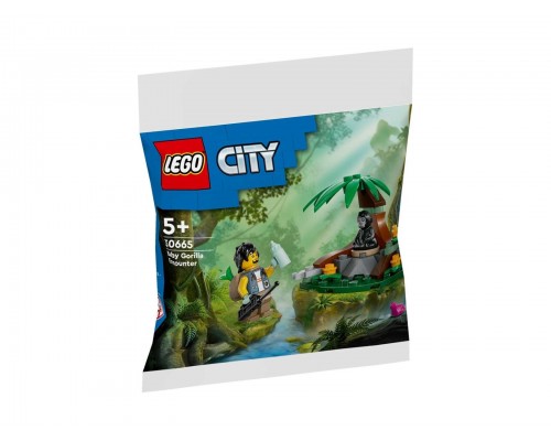 LEGO City pamana nelielu kalnu