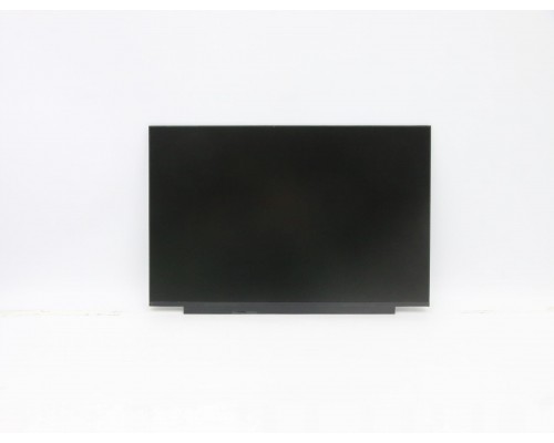 Lenovo FRU LCD SD10W73260