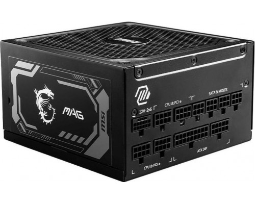 MSI MAG A1250GL PCIE5 1250W (306-7ZP9A11-CE0)