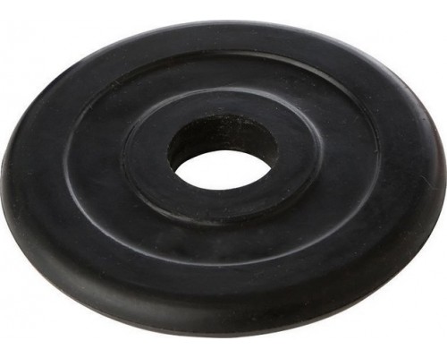 Tremblay Svara disks TREMBLAY D28mm 10kg gumija  