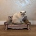 Purlov cat - sofa Purlov 24285