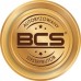 BCS Kamera tubowa do monitoringu 5Mpx BCS-P-TIP55VSR5-Ai2-G - BCS Point