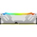 Kingston Fury Renegade RGB, DDR5, 24 GB, 8400MHz, CL40 (KF584CU40RWA-24)