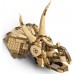 Juras laikmeta dinozauri: Triceratops sugas (76969)