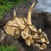 Juras laikmeta dinozauri: Triceratops sugas (76969)