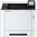 Kyocera ECOSYS PA2101cwx/Plus (870B6110C243NL1)