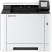 Kyocera ECOSYS PA2101cwx/Plus (870B6110C243NL1)