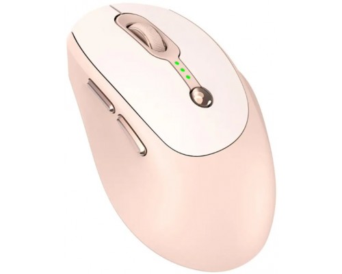 RoGer Q7 Wireless Rechargeable Mouse DPI 1600 /  Type-C