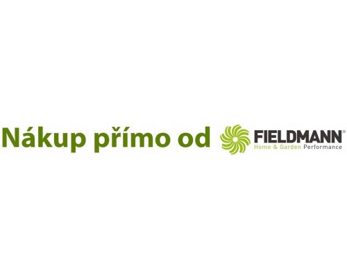 Akumuliatorinis gręžtuvas-suktuvas Fieldmann FDV 10202-A, Li-Ion 12V/1300 mAh