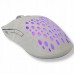 Baracuda BGM-022 Octopus biały