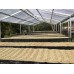 Qualia Caffe Honduras El Campo Filtr 250g