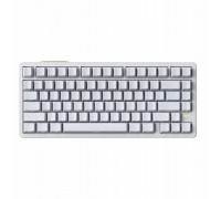 VGN Neon 75 HE+ TTC Elf King (84716040)