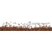 COFFEE PLANT Kenia Kiboko Decaf 250g - BEZKOFEINOWA