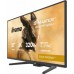 iiyama G-Master GB2791QSU-B1 Gold Phoenix