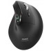 MOUSE BLUETH OPTICAL AUDITOR/910204 PORT DESIGNS