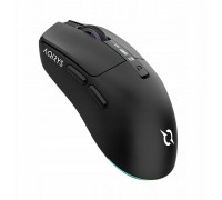 AQIRYS M2 Black (AQI-GA-MO-10)