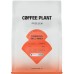 Coffee Plant COFFEE PLANT - kawa ziarnista Indonezja Bali Honey Filter 250 g