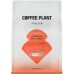 Coffee Plant COFFEE PLANT - kawa ziarnista Indonezja Bali Honey Filter 250 g