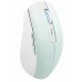 TnB Myszka Bezprzewodowa Bluetooth 2.4ghz Usb-c 800-1600 Dpi 500mah T"nb / Mwgradientbl
