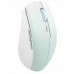TnB Myszka Bezprzewodowa Bluetooth 2.4ghz Usb-c 800-1600 Dpi 500mah T"nb / Mwgradientbl