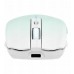 TnB Myszka Bezprzewodowa Bluetooth 2.4ghz Usb-c 800-1600 Dpi 500mah T"nb / Mwgradientbl