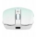TnB Myszka Bezprzewodowa Bluetooth 2.4ghz Usb-c 800-1600 Dpi 500mah T"nb / Mwgradientbl