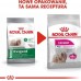 Royal Canin Royal Canin Mini Exigent karma dry for dogs adults, races small ones, picky 1kg
