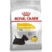 Royal Canin Royal Canin Mini Dermacomfort karma dry for dogs adults, races small ones o wrażliwej skórze skłonnej do podrażnień 1kg