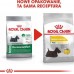 Royal Canin Royal Canin Mini Dermacomfort karma dry for dogs adults, races small ones o wrażliwej skórze skłonnej do podrażnień 1kg