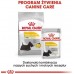 Royal Canin Royal Canin Mini Dermacomfort karma dry for dogs adults, races small ones o wrażliwej skórze skłonnej do podrażnień 1kg