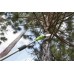 Greenworks G40PSF 40 V 20 cm