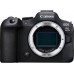 Canon Aparat EOS R6Mark II BODY 5666C004