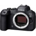 Canon Aparat EOS R6Mark II BODY 5666C004