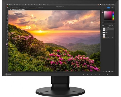 Eizo ColorEdge CS2400S