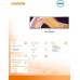 Dell UltraSharp U4924DW 5K (210-BGTX)