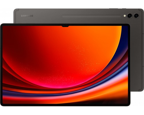 Samsung Galaxy Tab S9 Ultra 14.6-inch 256 GB 5G Graphite (1400169)