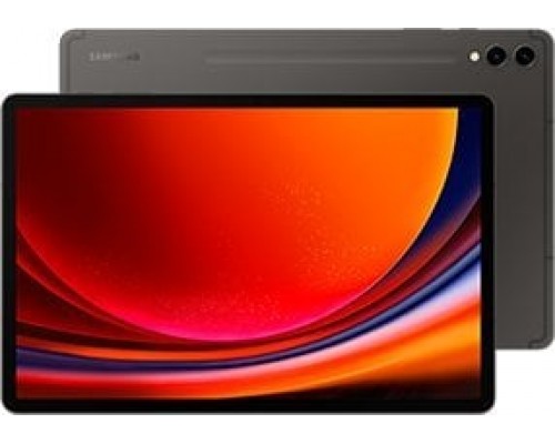 Samsung Galaxy Tab S9+ 12.4-inch 512 GB 5G Graphite (SM-X816BWithAEEUE)
