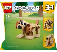 Презентационный набор LEGO Creator (30666)
