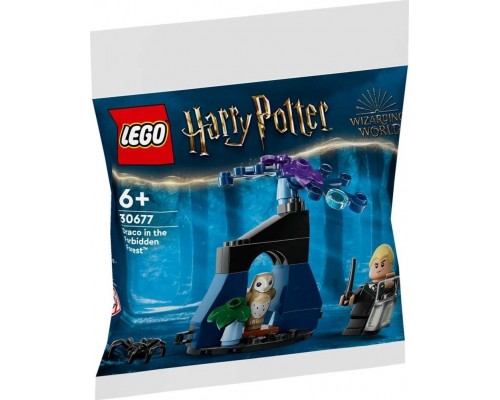 LEGO Гарри Поттер Драко Малфой с Лейси Ежик (30677)