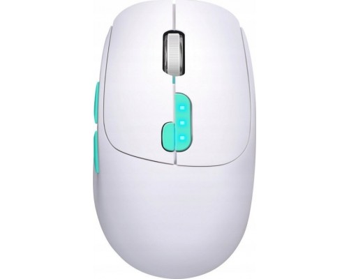 Defender Defender NITTA MM-307 1600dpi 2.4 GHz + Bluetooth biała AKUMULATOR