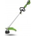 Greenworks GD24X2TX