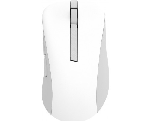 Asus Asus Wireless Mouse | MD102 | Mouse | 2.4 GHz, Bluetooth | White