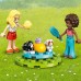 Друзья играют за «Морские лебеди» (42640)