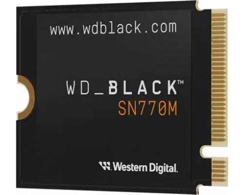SSD SanDisk SN770M 2TB M.2 2230 PCI-E x4 Gen4 NVMe (WDBDNH0020BBK-WRSN)