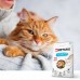 Ontario Cat Hair & Skin 2kg (Kailiui ir odai)