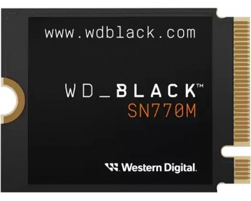 SSD SanDisk SN770M 1TB M.2 2230 PCI-E x4 Gen4 NVMe (WDBDNH0010BBK-WRSN)
