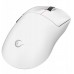Rampage Clax biała (CLAX-WHITE)