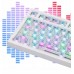 AK820 Pro Gift Switch Purple-White-Blue-3 model-RGB