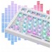 AK820 Pro Gift Switch Purple-White-Blue-3 model-RGB